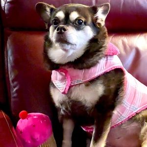 Meet your Posher, Laurie